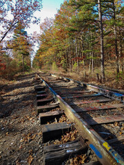 train tracks in the woods