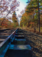 train tracks in the woods