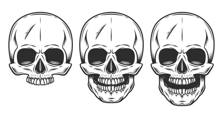 Skull set monochrome illustration