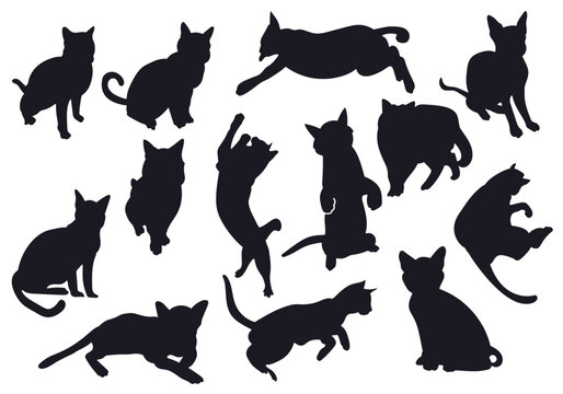 Cat vector silhouette. cat group bundle set illustration. black color isolated on white background