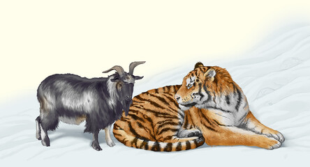 An animal friendship between a goat and a tiger 