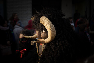 A busó in Mohacs at the event of busójárás, Hungarian carnival to ward off winter