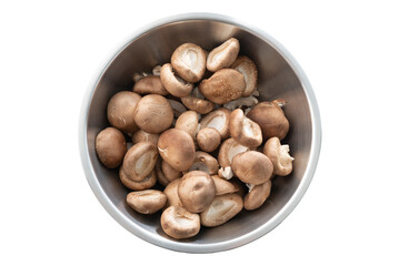 Chinese mushroom,Shiitake Mushroom in metal bowl isolated on white