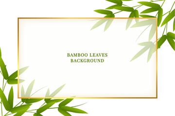 Bamboo background green leaves illustration