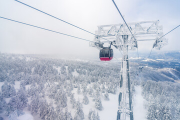 Point of view cableway moving up to snowy mountain peak ski resort. Aerial view of pine tree forest...