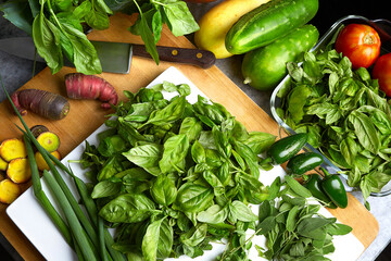 Cutting board with fresh basil and vegetables. Healthy cooking ingredients. 