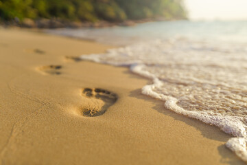 footprints on the sand