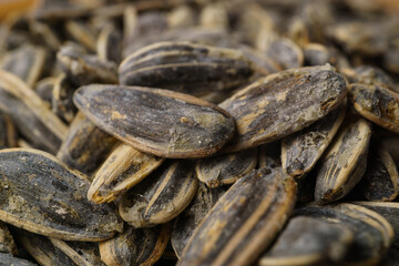 close-up of roasted sunflower seeds with salt selective focusing
