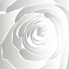 Rose petals of gray gradient tones.3d.