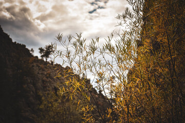 sunset in the mountains