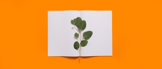 Blank magazine and eucalyptus leaves on orange background