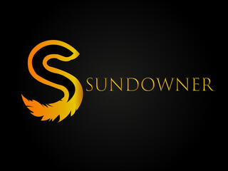 Verius Company Brand Logo Design 