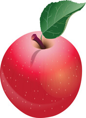 Apple vector illustration