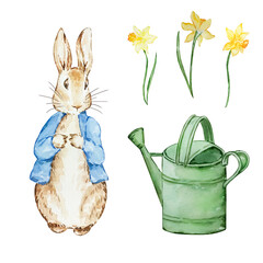 Watercolor cute rabbits in a blue jacket