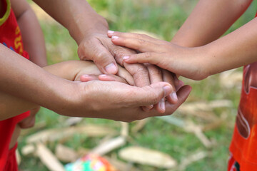 The hands of a child and a mother join forces.