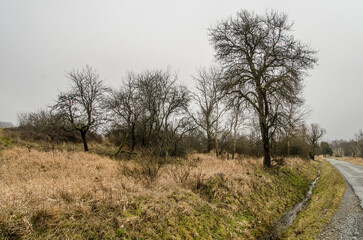 W Bieszczadach jesienią 