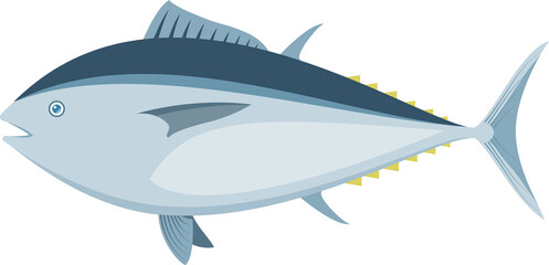 Bluefin Tuna Isolated