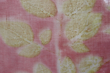 Texture background of natural yellow and white leaf from eco print process. Colorful Eco-printing on pink fabric background. 