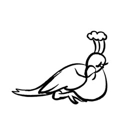 孔雀 イラスト ぬりえ