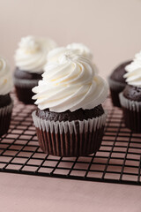 chocolate cake with chocolate muffin cupcake with butter cream and syrup and whipped cream