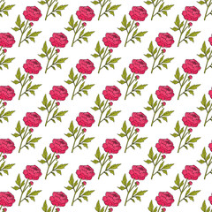 Seamless pattern with Chinese peony flower