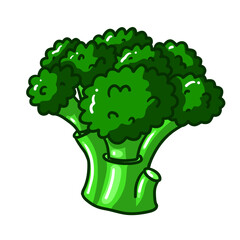 Healthy green broccoli. Vector illustration vegetable in doodle style. Vitamin healthy natural food. Plant for vegan and vegetarian diet