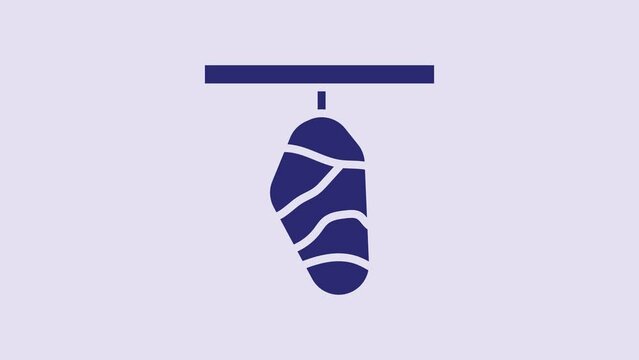 Blue Butterfly cocoon icon isolated on purple background. Pupa of the butterfly. 4K Video motion graphic animation