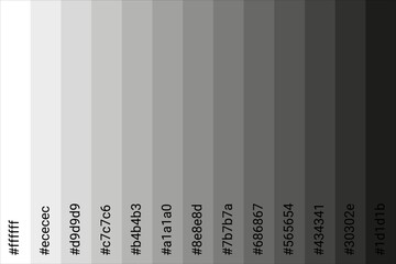 color palette Black to White with color code. Tone color guide. Vector illustration EPS 10 File.