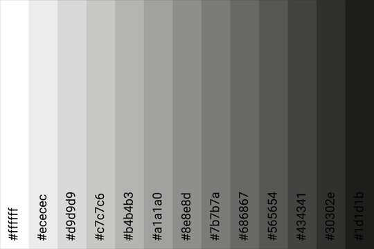 color palette Black to White with color code. Tone color guide. Vector illustration EPS 10 File.
