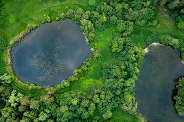 top view from drone of two beautiful lakes surrounded by forest