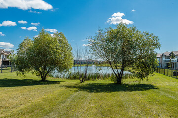 Willows in Saskatoon, Canada