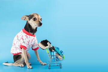 cute dog in a t-shirt with a supermarket trolley with pet goods, buying dog accessories, pet shop...