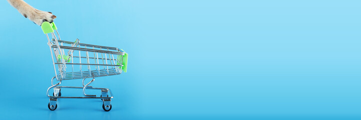 pet shop delivery, dog and cat shopping, dog paw pushes a supermarket trolley, goods for pets, copy...