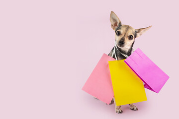 dog supermarket, dog with shopping bags with pet goods on a pink background