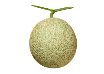 新鮮なメロン切り抜き