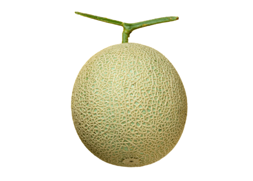 新鮮なメロン切り抜き