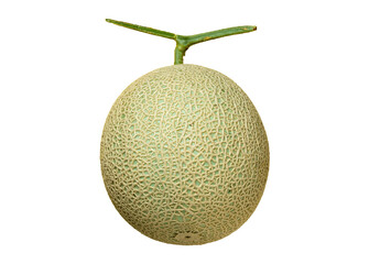 新鮮なメロン切り抜き影あり