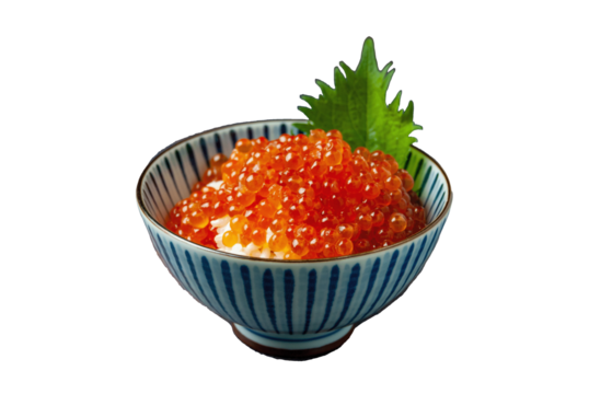 いくら丼切り抜き