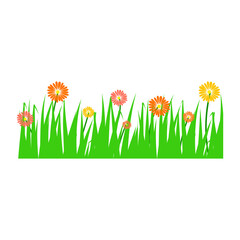 spring grass and flowers isolated on transparent background.
