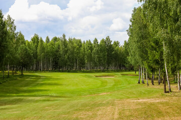 Green field against the background of forest and a blue sky.