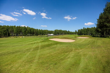 Obraz premium Green field against the background of forest and a blue sky.