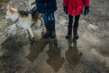 Girls reflections standing in puddle with pet dog