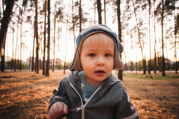 Portrait of adorable baby boy looking at camera in forest in autumn
