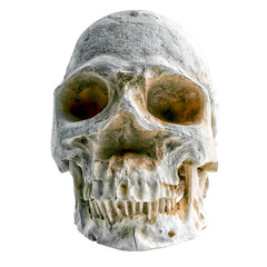 Obraz premium tête de mort, crâne humain sur fond transparent