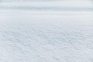 サラサラな雪の原