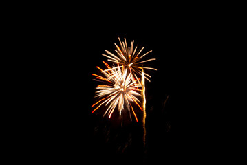 Fototapeta premium Fireworks Display Celebration Photo