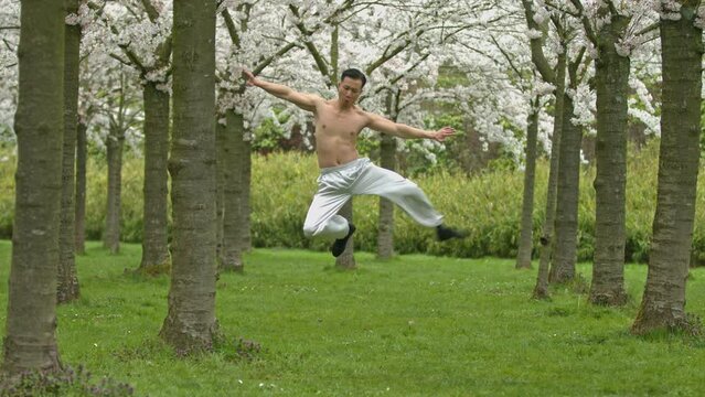 Topless chinese warrior training kung-fu in cherry orchard.