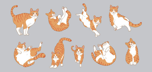 Cute Cartoon orange cat set - Powered by Adobe