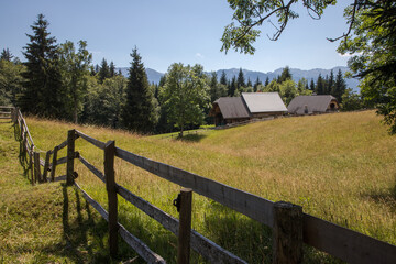 Summer in the Julian Alps - mountain pastures around Lake Bohinj