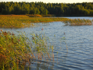 waters of a quiet lake with a sandy beach at sunset